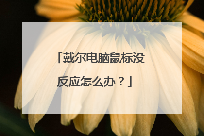 戴尔电脑鼠标没反应怎么办?