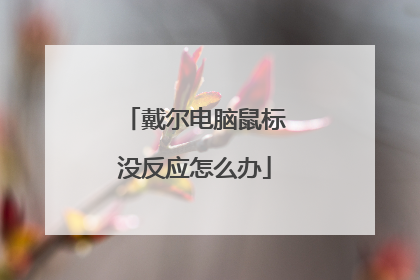 戴尔电脑鼠标没反应怎么办