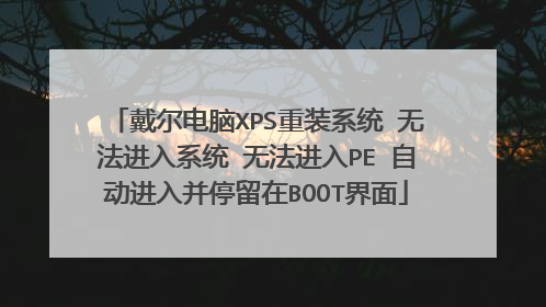 戴尔电脑XPS重装系统 无法进入系统 无法进入PE 自动进入并停留在BOOT界面