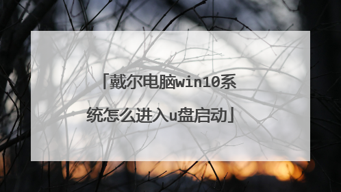 戴尔电脑win10系统怎么进入u盘启动