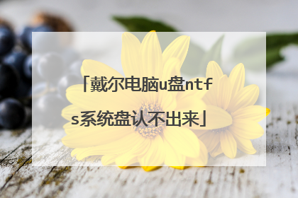 戴尔电脑u盘ntfs系统盘认不出来