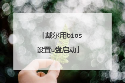 戴尔用bios设置u盘启动