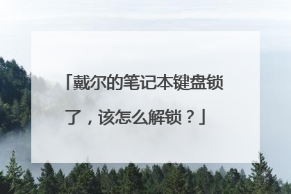戴尔的笔记本键盘锁了,该怎么解锁?