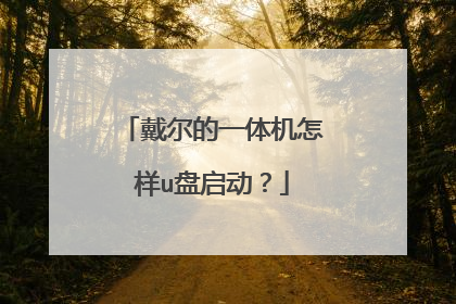 戴尔的一体机怎样u盘启动？