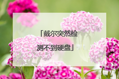 戴尔突然检测不到硬盘