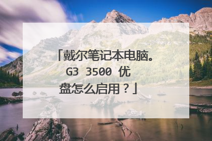 戴尔笔记本电脑。G3 3500 优盘怎么启用？