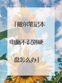 戴尔笔记本电脑不识别硬盘怎么办