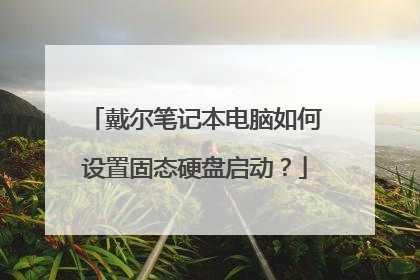 戴尔笔记本电脑如何设置固态硬盘启动?