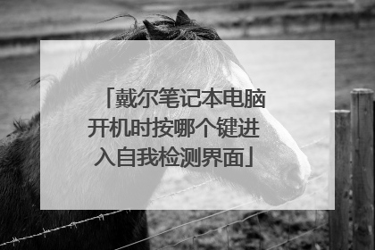 戴尔笔记本电脑开机时按哪个键进入自我检测界面