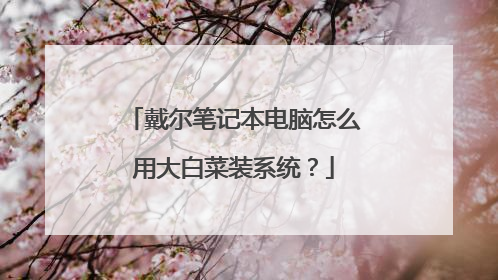 戴尔笔记本电脑怎么用大白菜装系统?