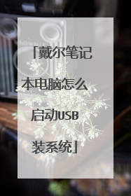 戴尔笔记本电脑怎么启动USB装系统