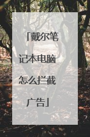 戴尔笔记本电脑怎么拦截广告