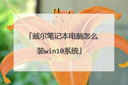 戴尔笔记本电脑怎么装win10系统