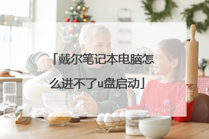 戴尔笔记本电脑怎么进不了u盘启动