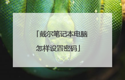 戴尔笔记本电脑怎样设置密码