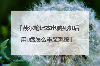 戴尔笔记本电脑死机后用U盘怎么重装系统