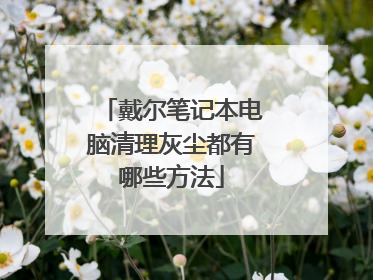 戴尔笔记本电脑清理灰尘都有哪些方法