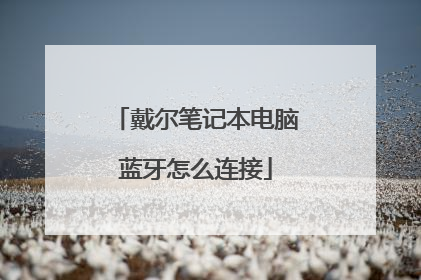 戴尔笔记本电脑蓝牙怎么连接