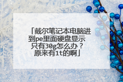 戴尔笔记本电脑进到pe里面硬盘显示只有30g怎么办？原来有1t的啊