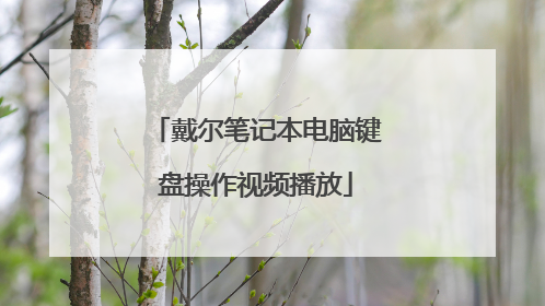 戴尔笔记本电脑键盘操作视频播放