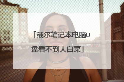 戴尔笔记本电脑U盘看不到大白菜