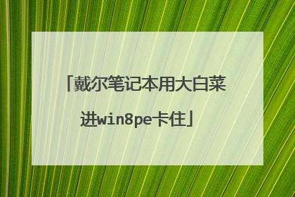 戴尔笔记本用大白菜进win8pe卡住