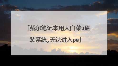 戴尔笔记本用大白菜u盘装系统,无法进入pe