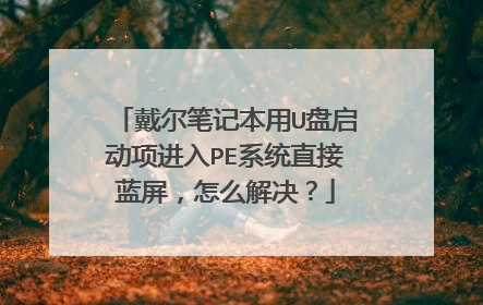 戴尔笔记本用U盘启动项进入PE系统直接蓝屏，怎么解决？