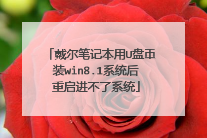 戴尔笔记本用U盘重装win8.1系统后重启进不了系统