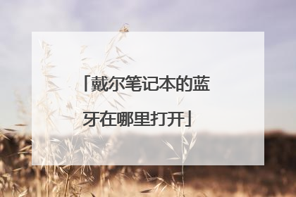 戴尔笔记本的蓝牙在哪里打开
