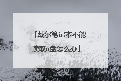 戴尔笔记本不能读取u盘怎么办