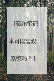 戴尔笔记本可以装双系统吗?