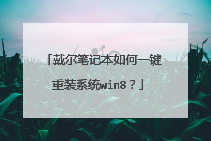 戴尔笔记本如何一键重装系统win8?
