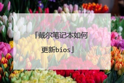 戴尔笔记本如何更新bios
