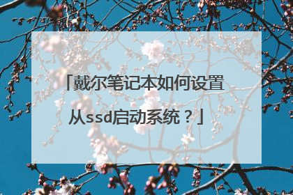 戴尔笔记本如何设置从ssd启动系统?