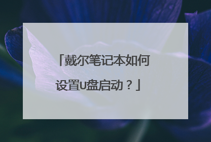 戴尔笔记本如何设置U盘启动?