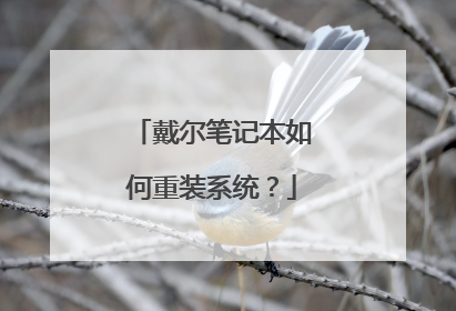 戴尔笔记本如何重装系统?