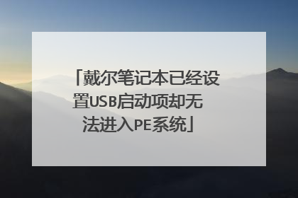 戴尔笔记本已经设置USB启动项却无法进入PE系统