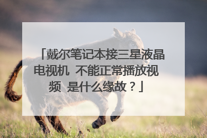 戴尔笔记本接三星液晶电视机 不能正常播放视频 是什么缘故?