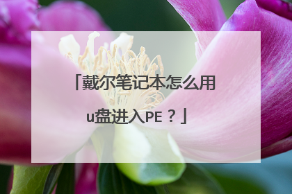 戴尔笔记本怎么用u盘进入PE?