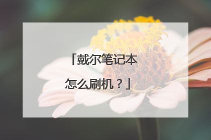 戴尔笔记本怎么刷机?