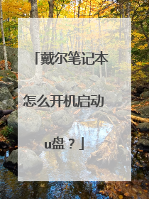 戴尔笔记本怎么开机启动u盘?