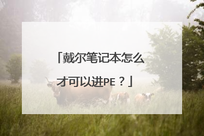 戴尔笔记本怎么才可以进PE?