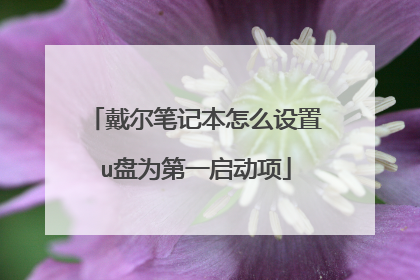戴尔笔记本怎么设置u盘为第一启动项