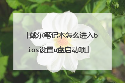 戴尔笔记本怎么进入bios设置u盘启动项