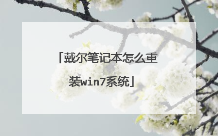 戴尔笔记本怎么重装win7系统
