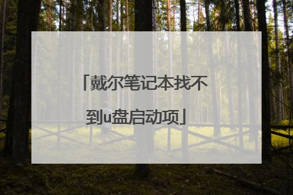 戴尔笔记本找不到u盘启动项