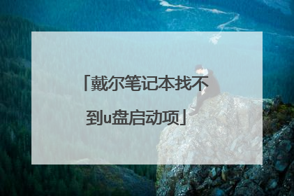 戴尔笔记本找不到u盘启动项