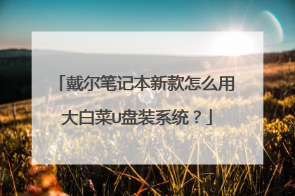 戴尔笔记本新款怎么用大白菜U盘装系统?