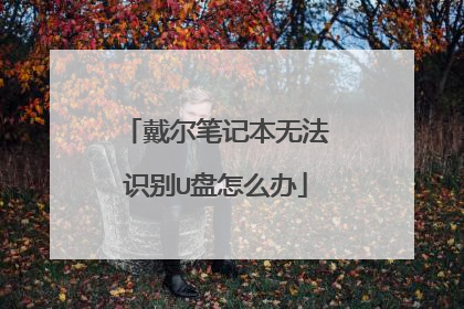 戴尔笔记本无法识别U盘怎么办